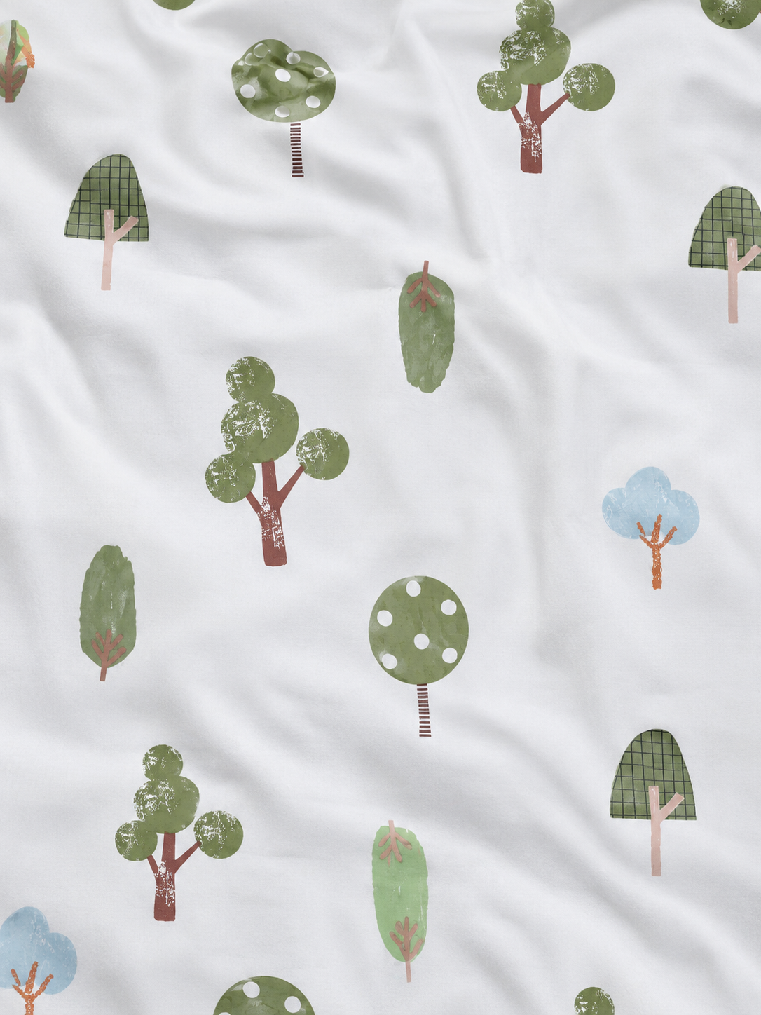 Evergreen Forest